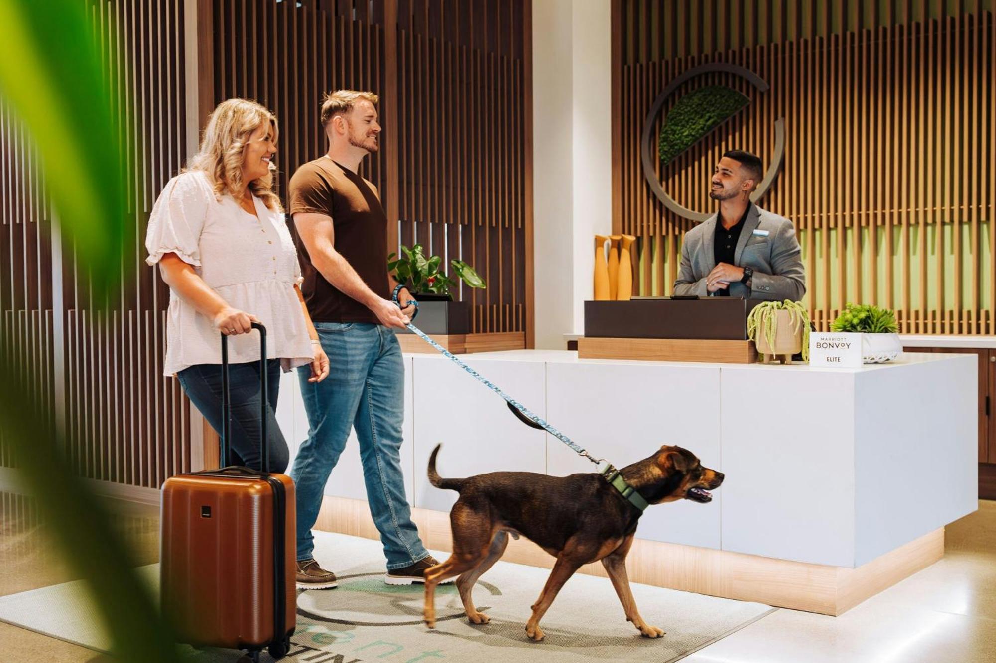 Element Reno Experience District Hotel Bagian luar foto